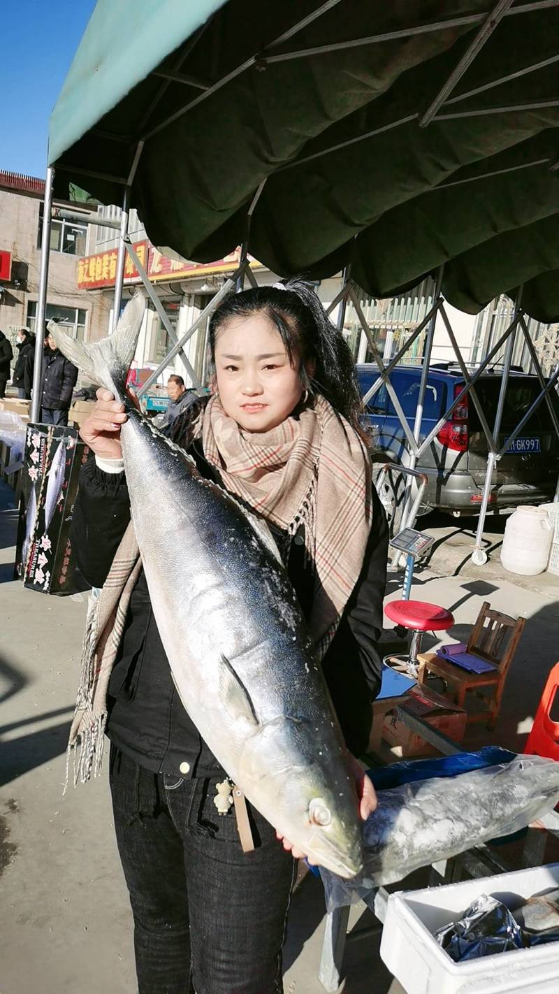 黄金鲅鱼，深海鱼，（冻货）一条12斤到20斤左右