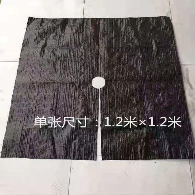 打孔防草布，打孔地膜