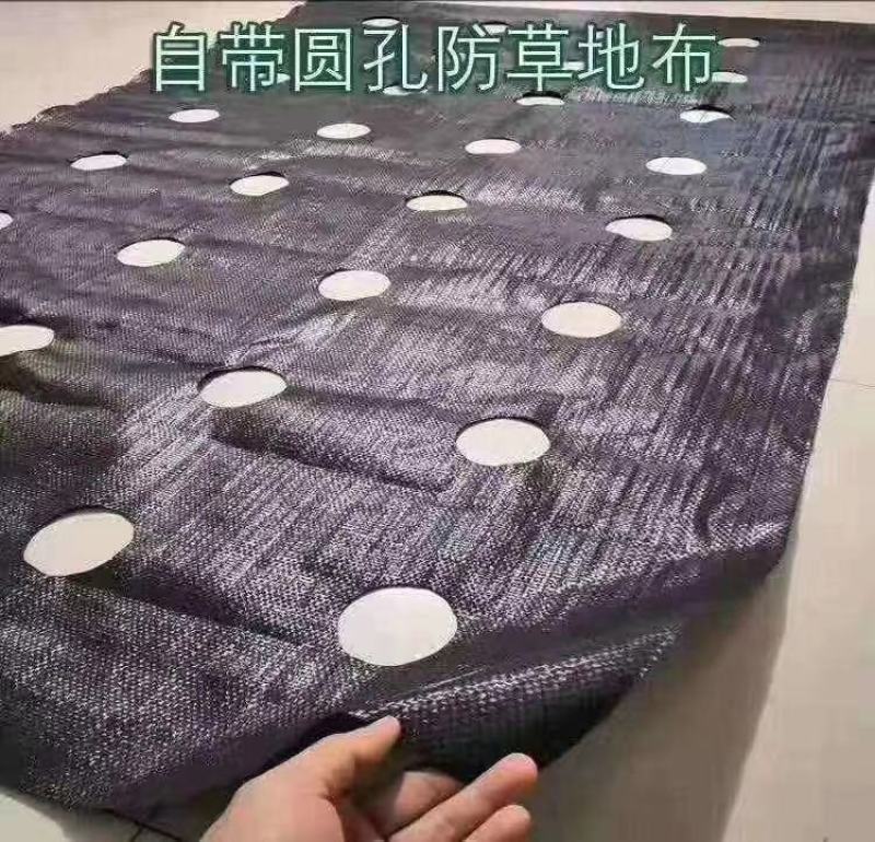 打孔防草布，打孔地膜