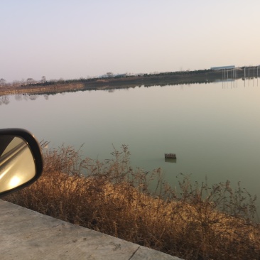 2万水旱两用优质水浇地黄壤土，土质深厚，肥沃，水电路三通