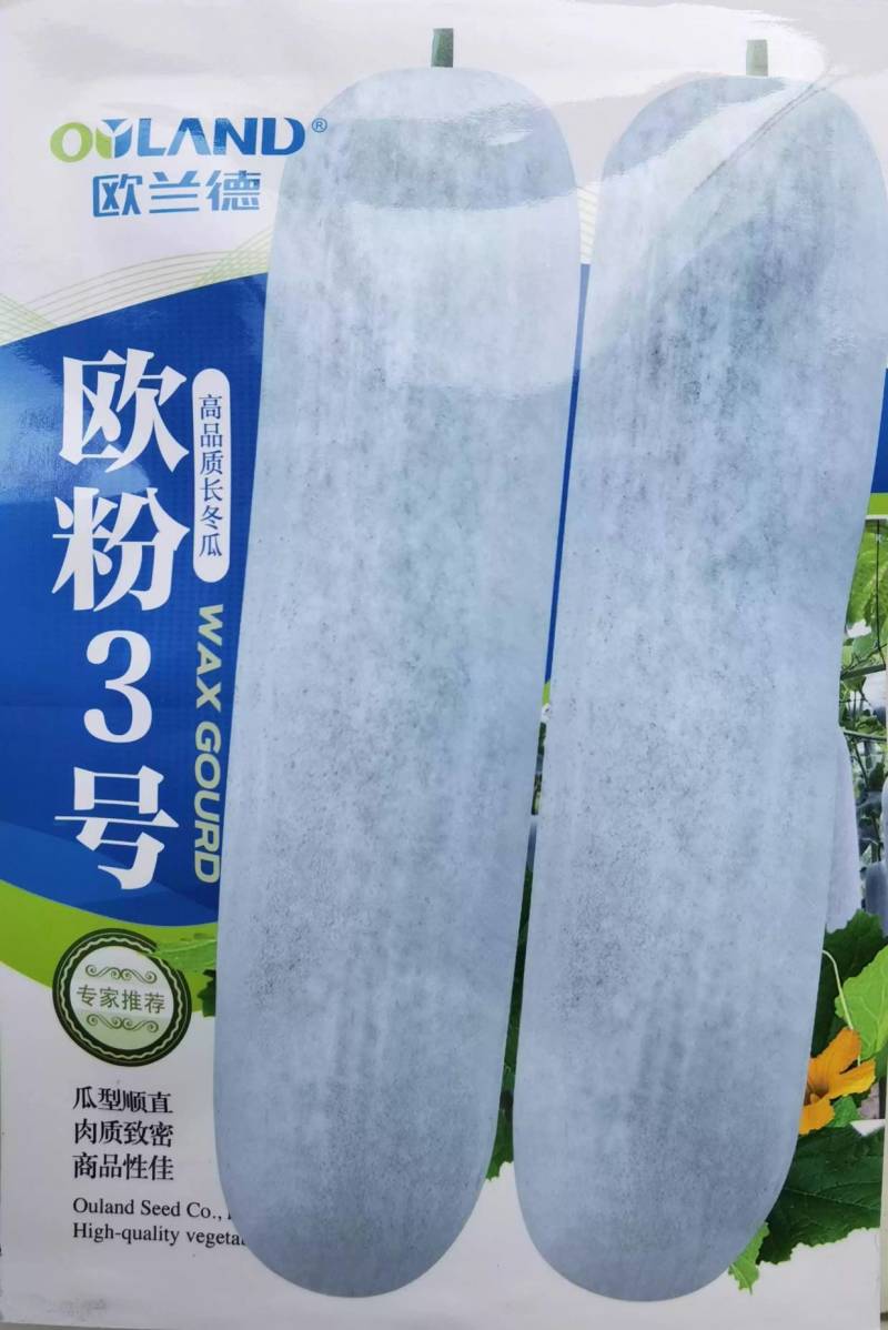 欧粉3号粉皮冬瓜种子欧兰德欧粉三号杂交特大抗病冬瓜种子