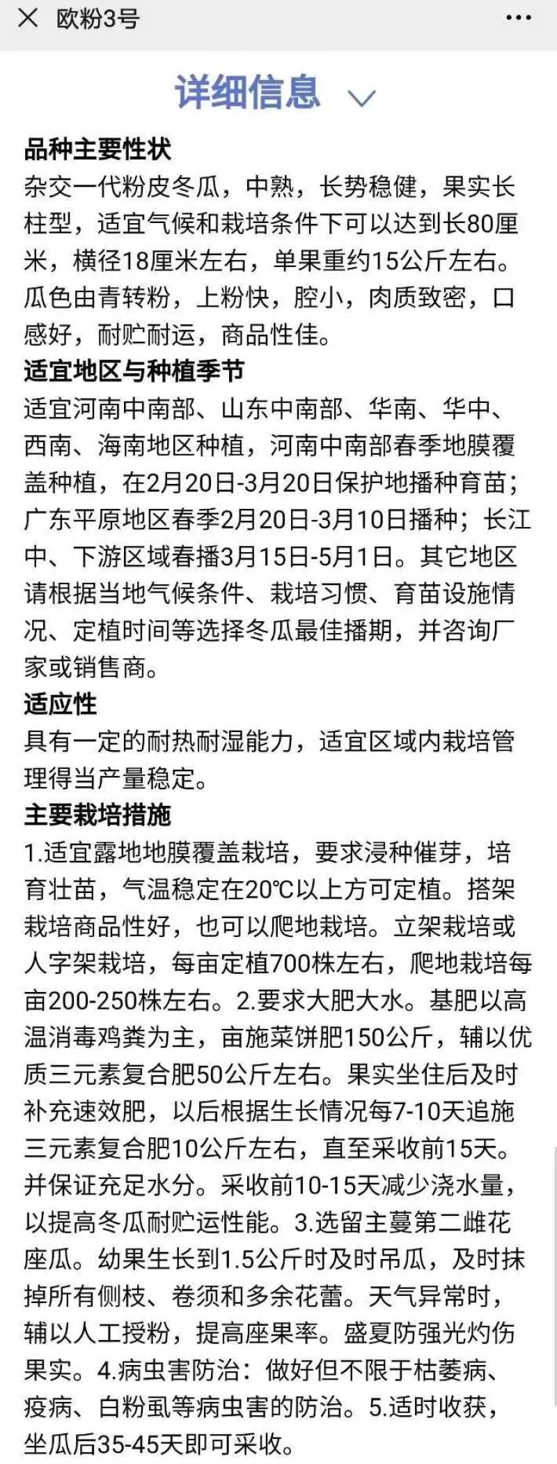 欧粉3号粉皮冬瓜种子欧兰德欧粉三号杂交特大抗病冬瓜种子