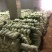 白菜4~6斤云南高山大白菜可以接受预订包地和订价等收购