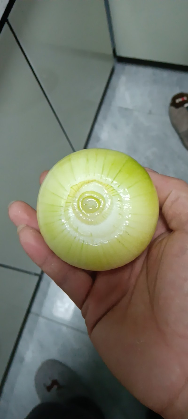 【全年供货】紫皮洋葱硬度好，耐放，主供市场，电商