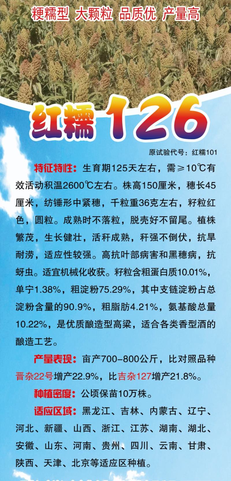 酿酒用红高粱种子红糯13号高粱种子高产新品种