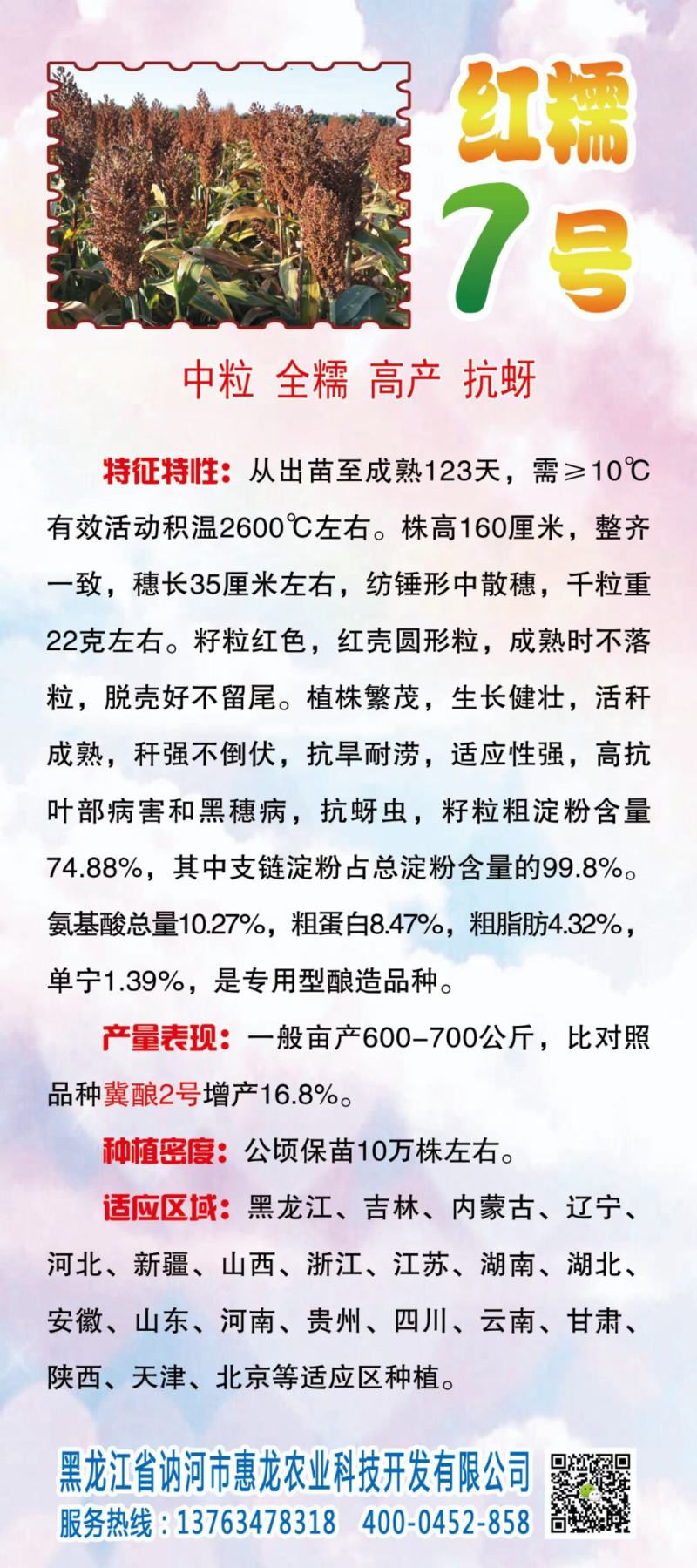 高粱种子红糯123号酿酒用红高粱高产新品种高粱种子