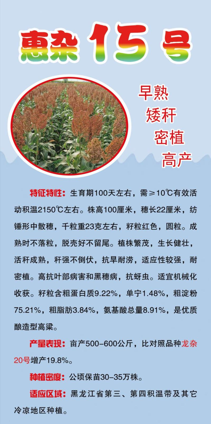 高粱种子红糯123号酿酒用红高粱高产新品种高粱种子