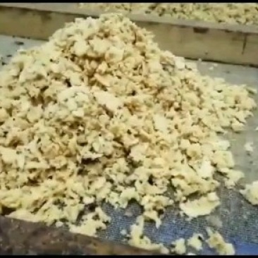 批发黑水虻卵供应水产基地餐厨垃圾处理基地