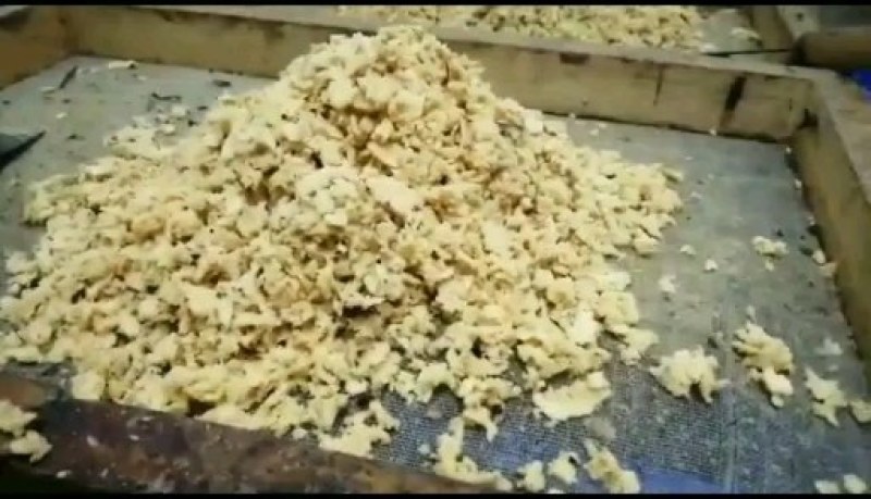 批发黑水虻卵供应水产基地餐厨垃圾处理基地
