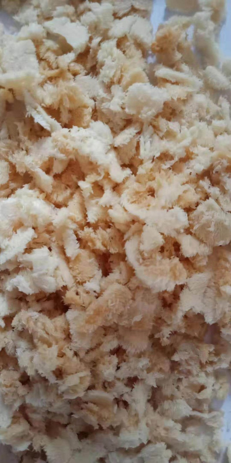 批发黑水虻卵供应水产基地餐厨垃圾处理基地