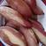 陕北延安老品种红薯可视频看货软糯稀甜大量上市欢迎来电