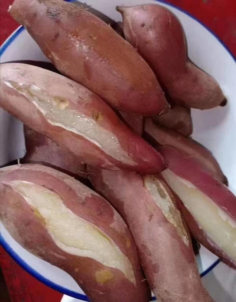 陕北延安老品种红薯可视频看货软糯稀甜大量上市欢迎来电
