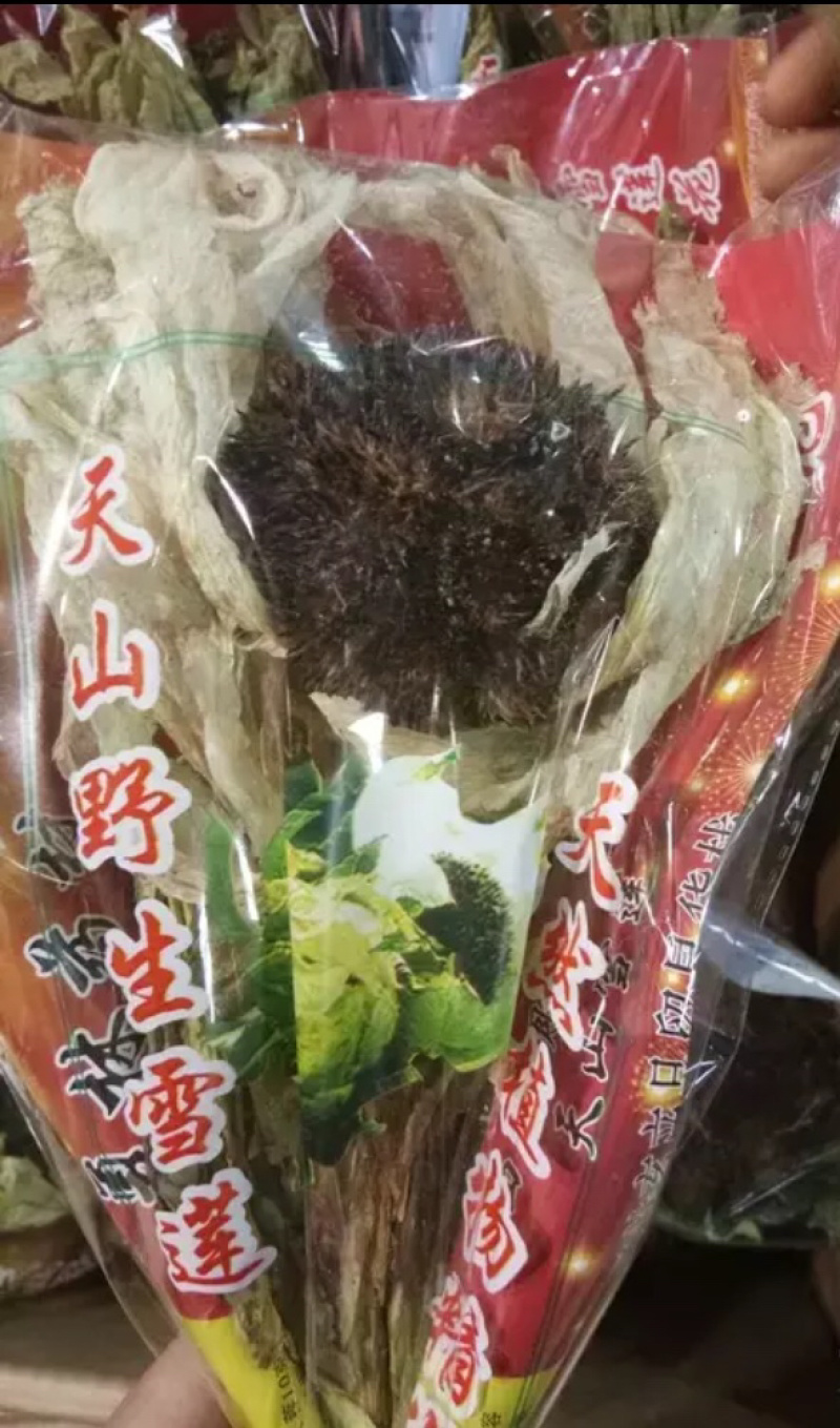 雪莲花新疆天山天然野生雪莲，来自海拔高度3800的天山