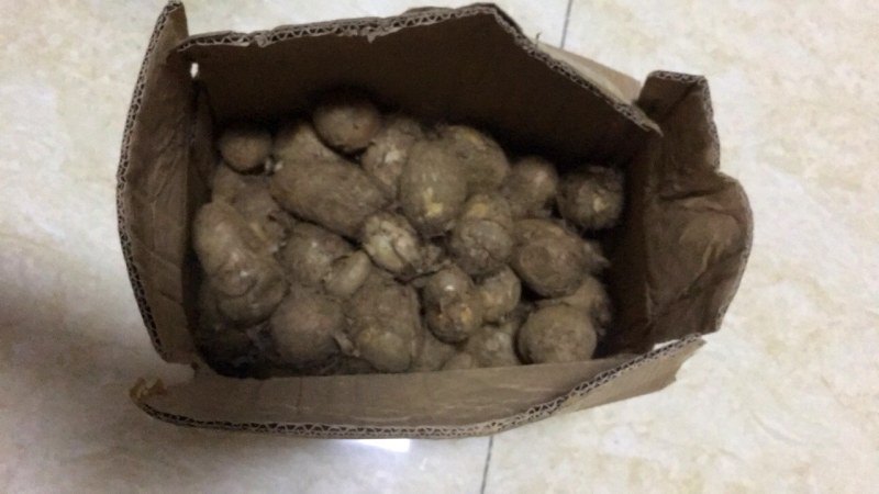 电商一件代发，芋头核心产区发货，价格低，品质高，山东发货