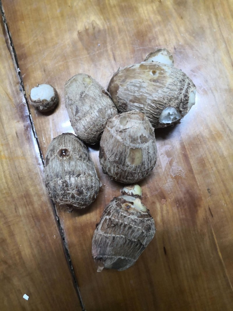电商一件代发，芋头核心产区发货，价格低，品质高，山东发货