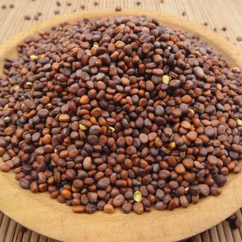 包莱菔子莱菔籽中药材莱菔子500克无硫莱菔子萝卜籽