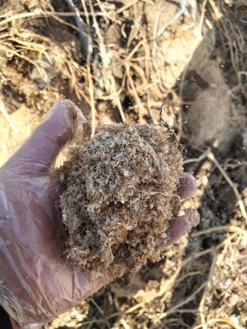 产家直销玉米轻皮有机肥好原料，育肥养地供应全国各地采购商