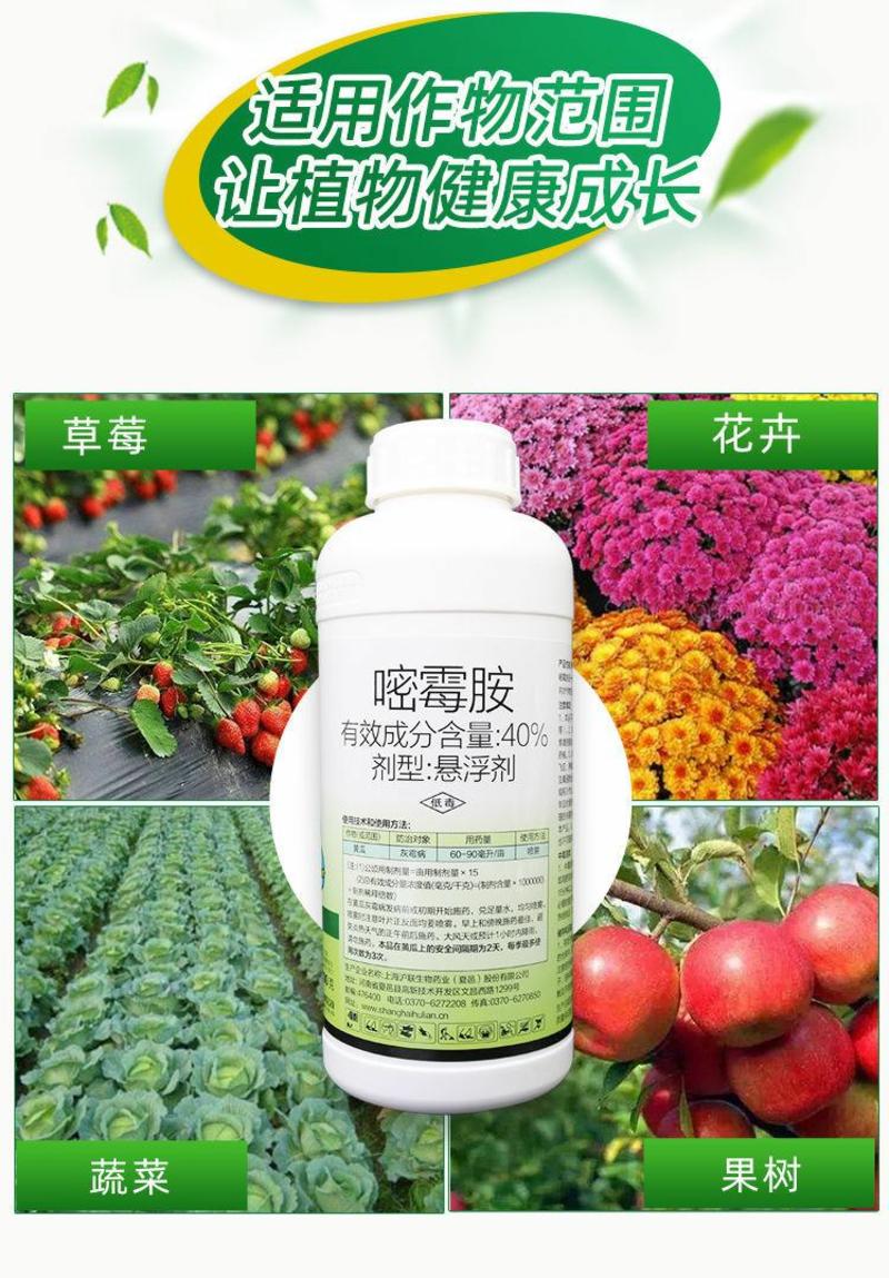 沪联灰飞40%嘧霉胺草莓黄瓜叶霉病灰霉病专用杀菌剂农