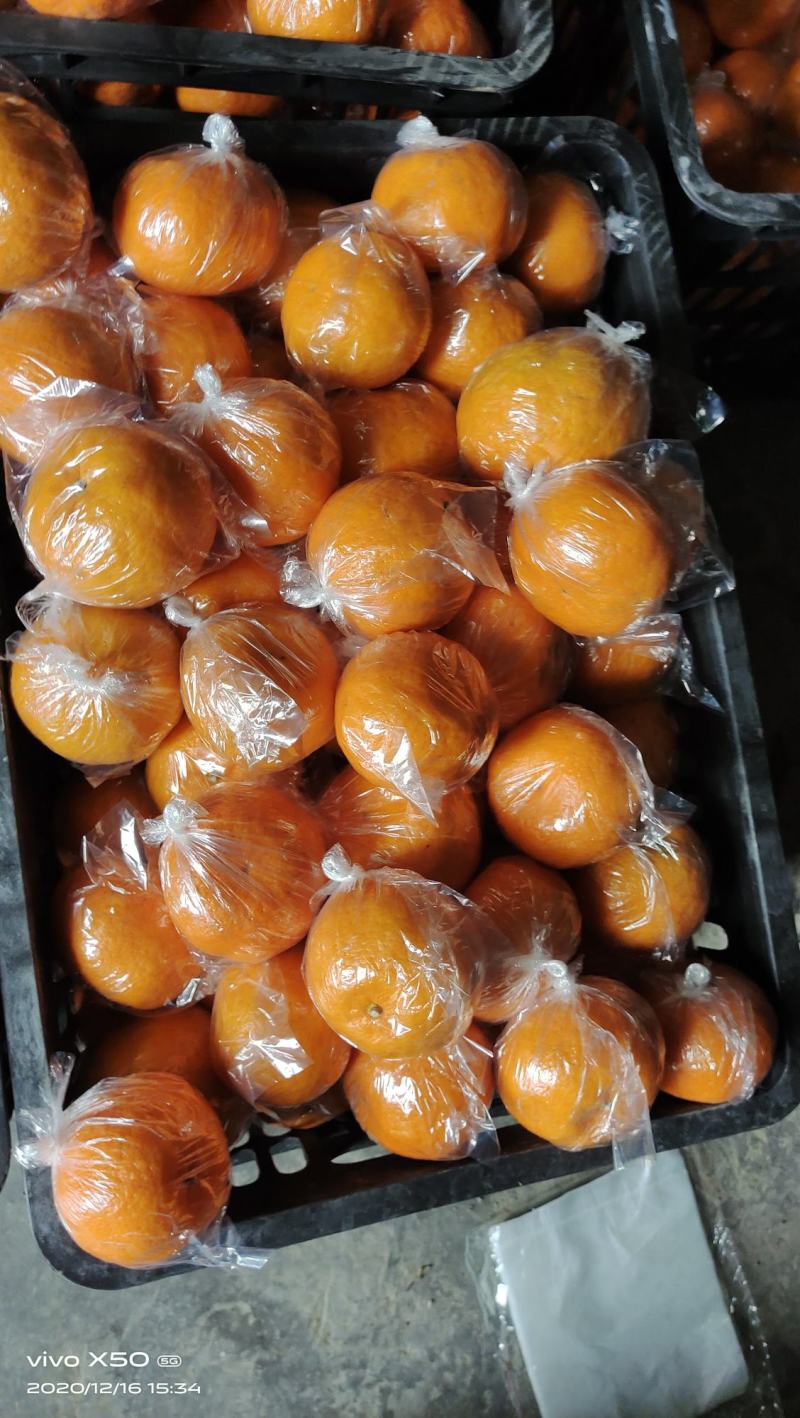 湖南富硒椪柑，果面干净，口感甜，易化渣，颜色红，品质优