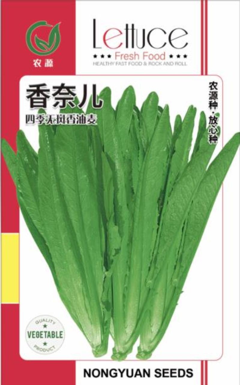 油麦菜种籽，香油麦，四季香，满园香油麦菜种籽，