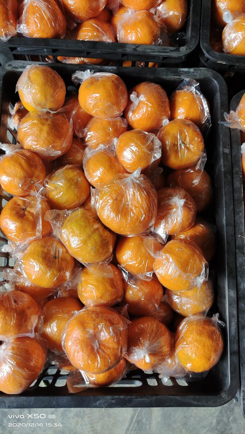 芦柑大产地直供，品质量优良，口感甜，易化渣，皮薄肉嫩果