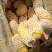 【实力商家】山东【平阴】荷兰土豆三两通天货精品冷库储存