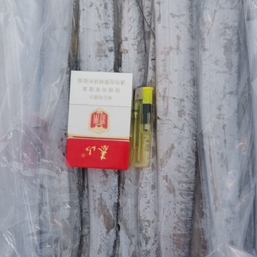 三证齐全冻品带鱼（鲜活速冻），一手货源，质量保证，量大，