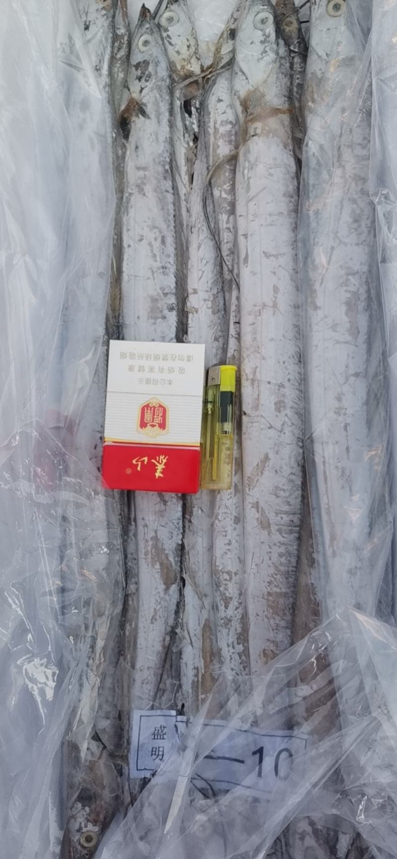 三证齐全冻品带鱼（鲜活速冻），一手货源，质量保证，量大，