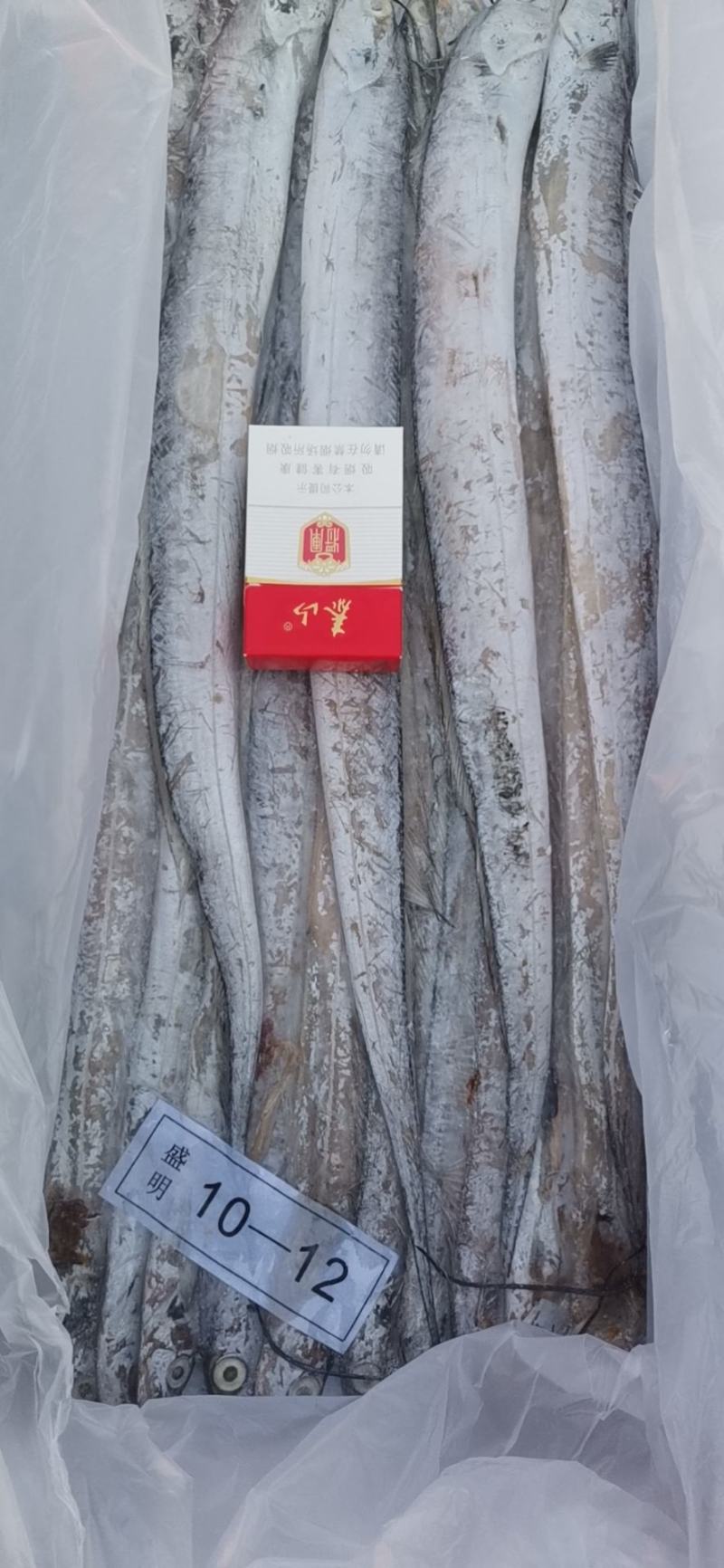 三证齐全冻品带鱼（鲜活速冻），一手货源，质量保证，量大，