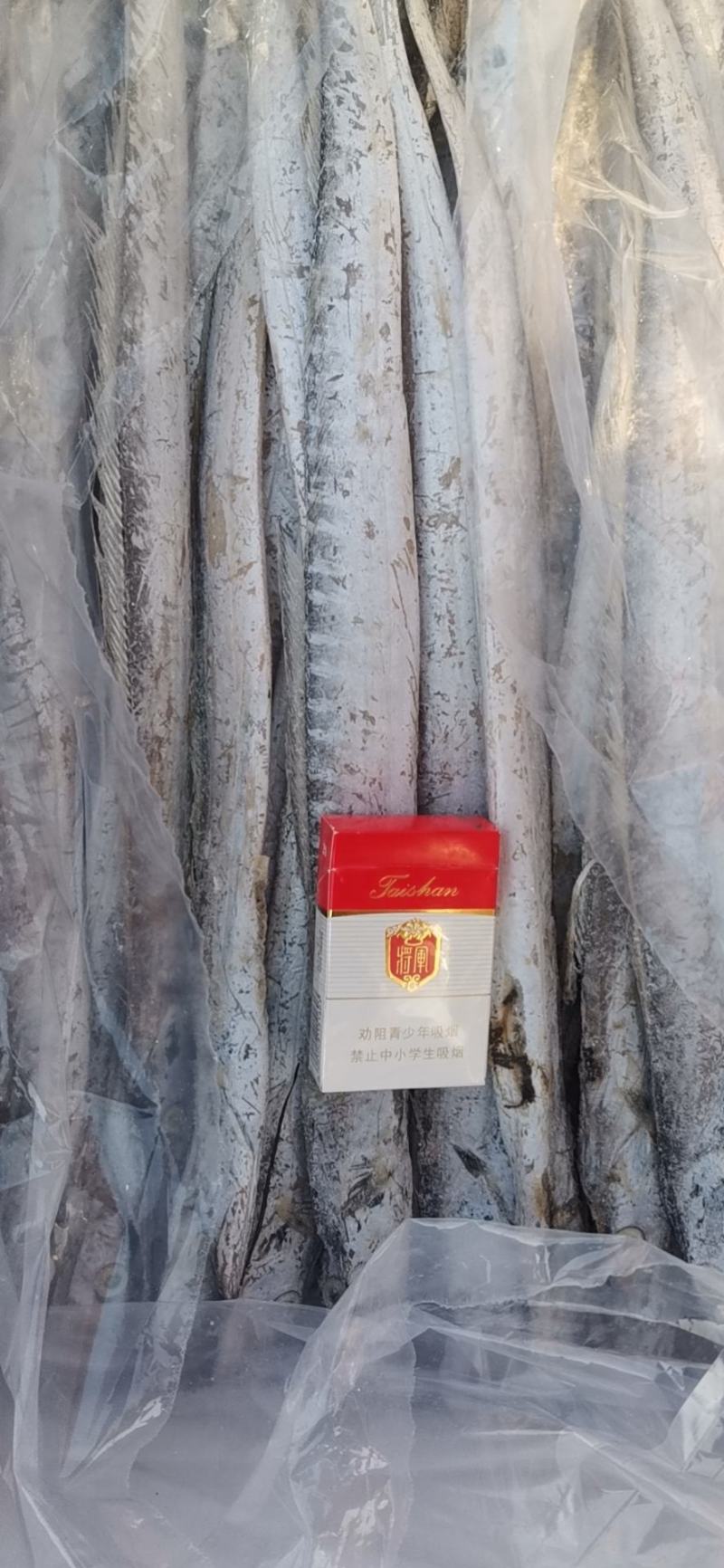 三证齐全冻品带鱼（鲜活速冻），一手货源，质量保证，量大，