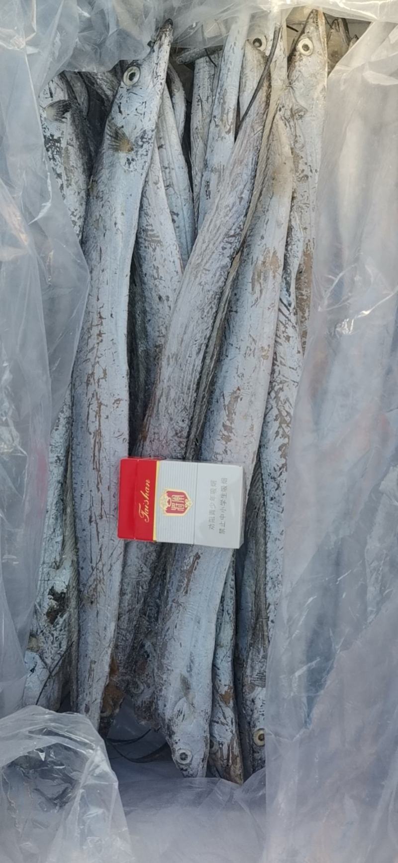三证齐全冻品带鱼（鲜活速冻），一手货源，质量保证，量大，