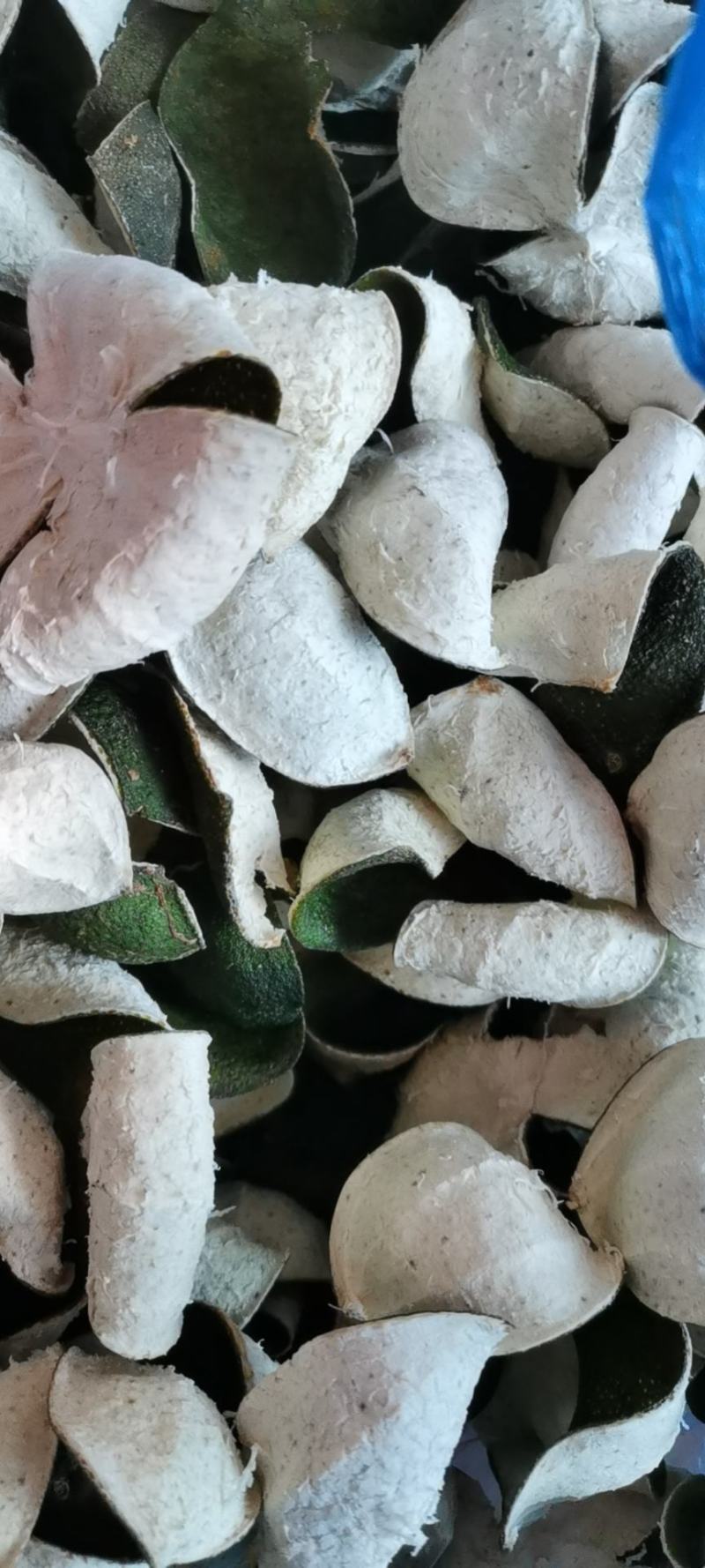中药材原产地三花陈皮（青）