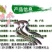 日本鳗鱼苗白鳝苗花鳗鱼苗花锦鳝鳗鲡苗淡水养殖