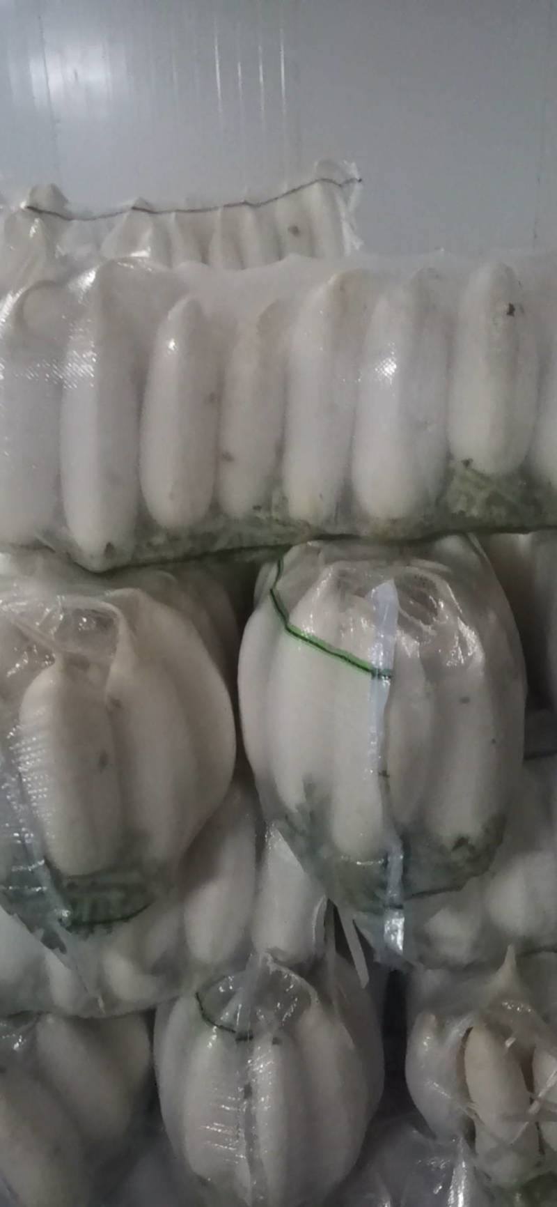 【荐】沙洋白萝卜精品小白萝卜鲜嫩精致好吃精品通货均有
