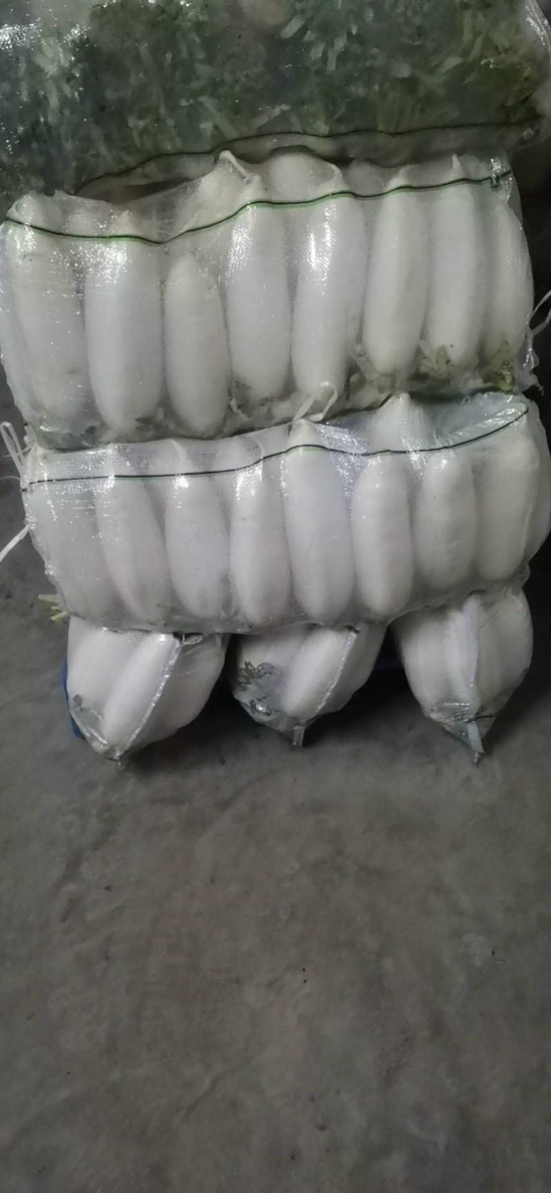 【荐】沙洋白萝卜精品小白萝卜鲜嫩精致好吃精品通货均有