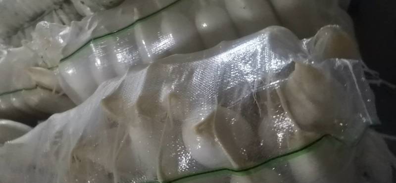 【荐】沙洋白萝卜精品小白萝卜鲜嫩精致好吃精品通货均有