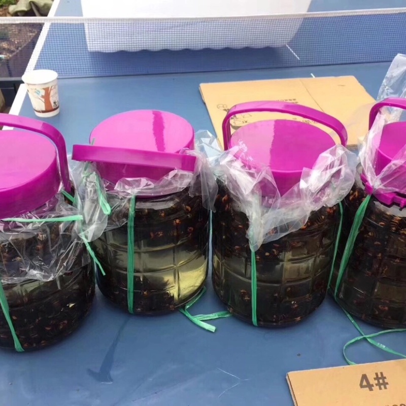 金环老峰个大饱满，胡峰金环价格优惠一手货源？