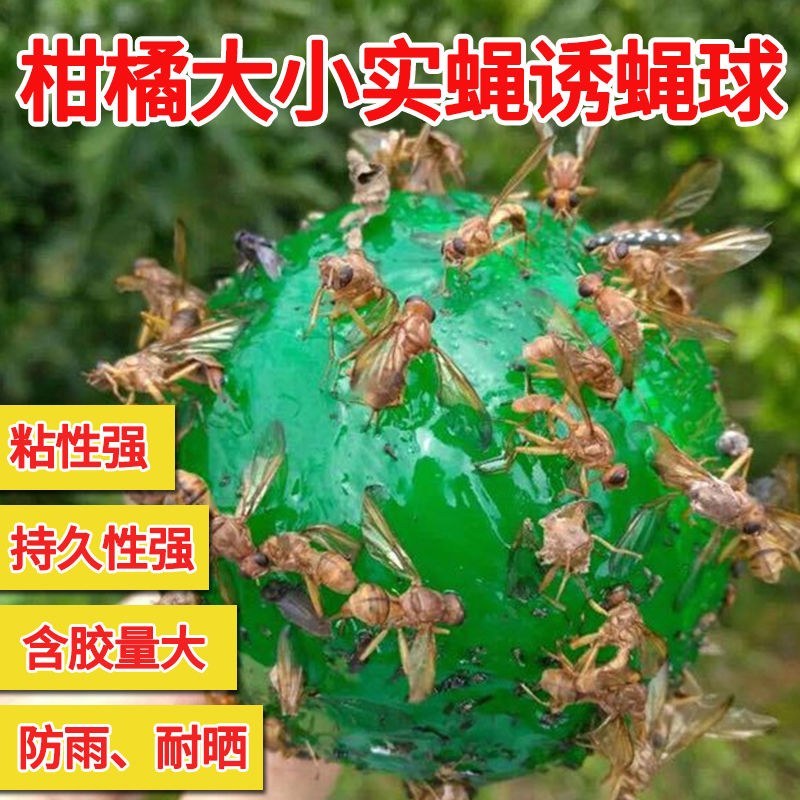 诱捕器〈包邮）粘虫球诱粘球果蝇诱粘器果蝇球诱粘球诱蝇球