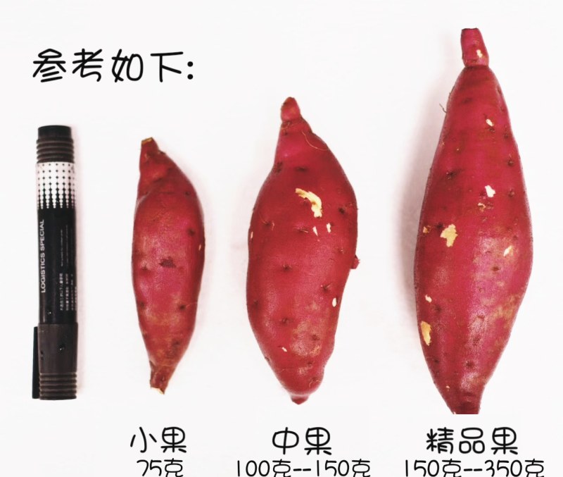 海南沙地小香薯。香·甜·糯。咬上一口唇齒留香