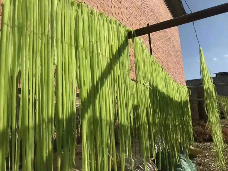宾川贡菜，现以大量上市