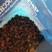 俄罗斯桦树茸精品稀有黑油粒，黑金粒，木桶