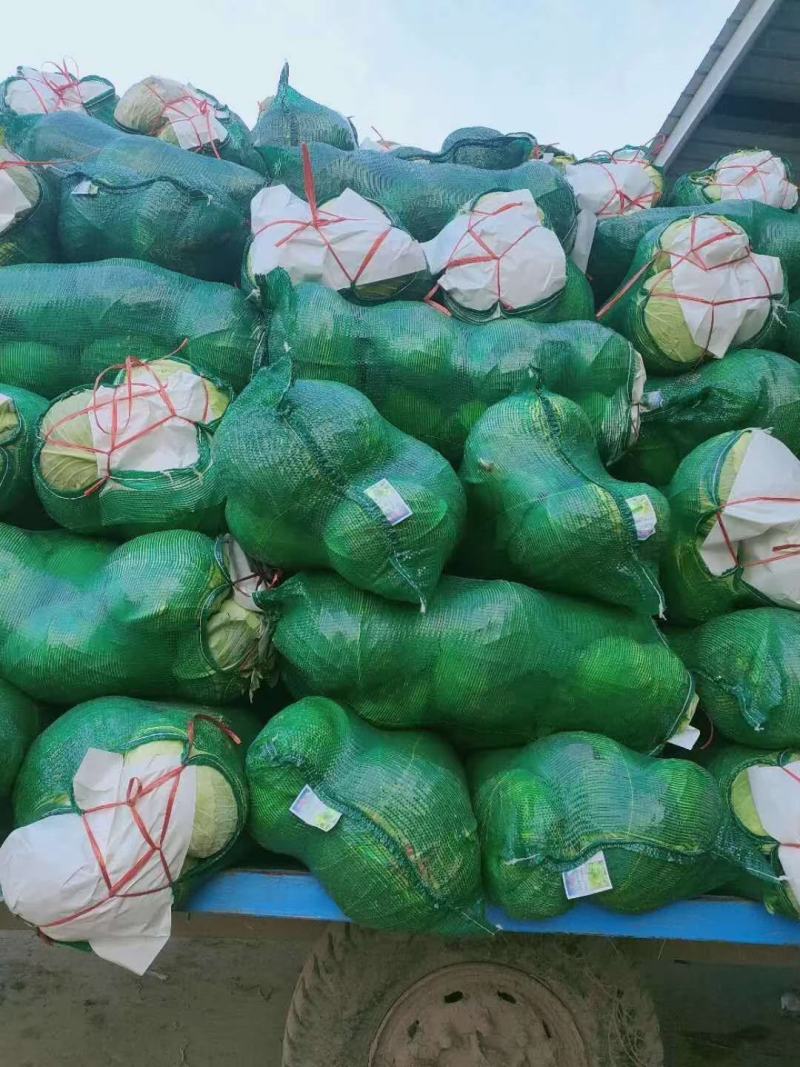 精品铁头扁包，货真价实