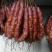 纯肉腊肠，传统手工川味麻辣肠，五香肠，风干肠