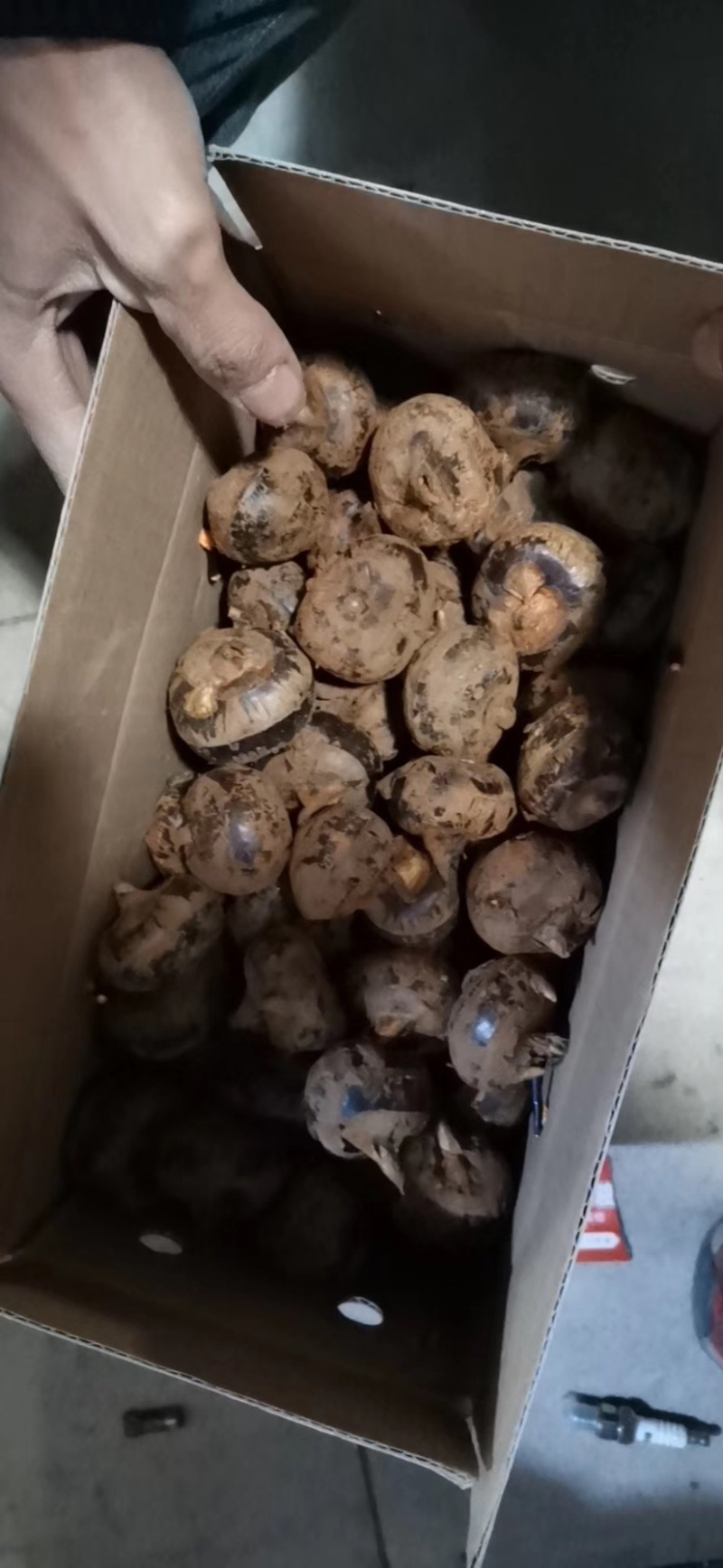 专业供商超，平台，电商，供货力强，可持续供货！