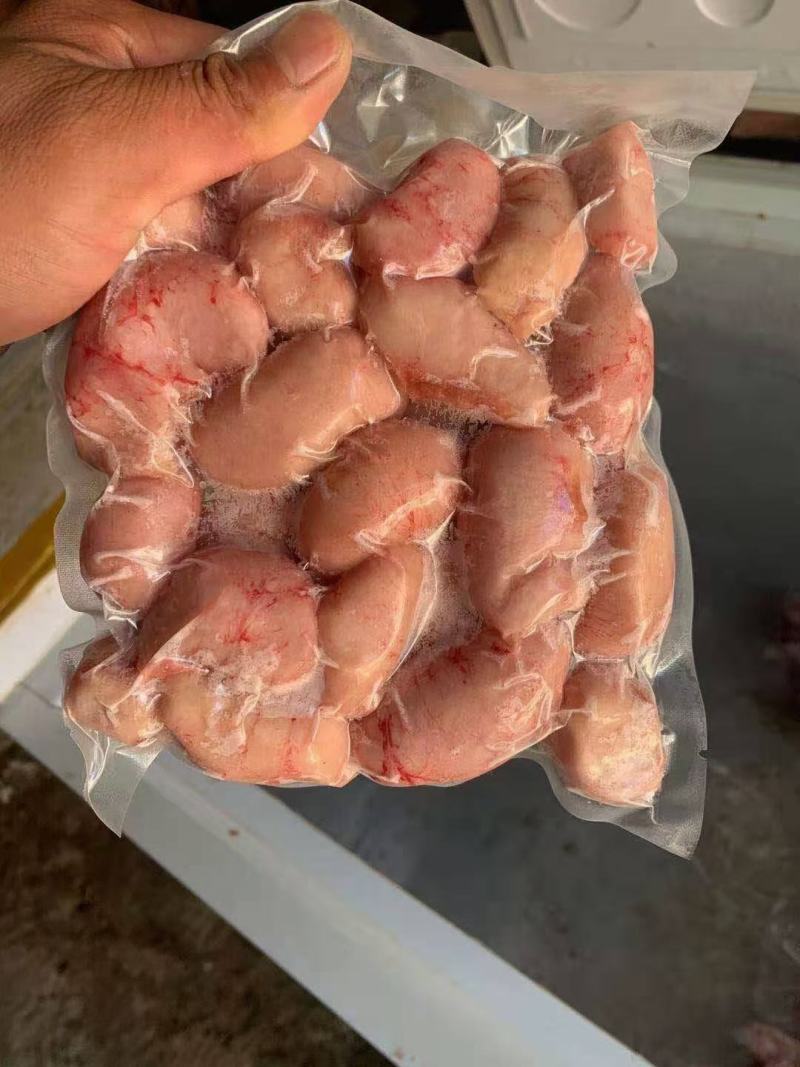 鸡腰子没有水的公鸡腰子纯质量好价格不高