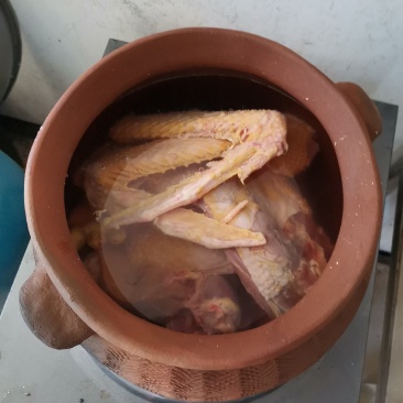 农家散养鹅，大种番鸭