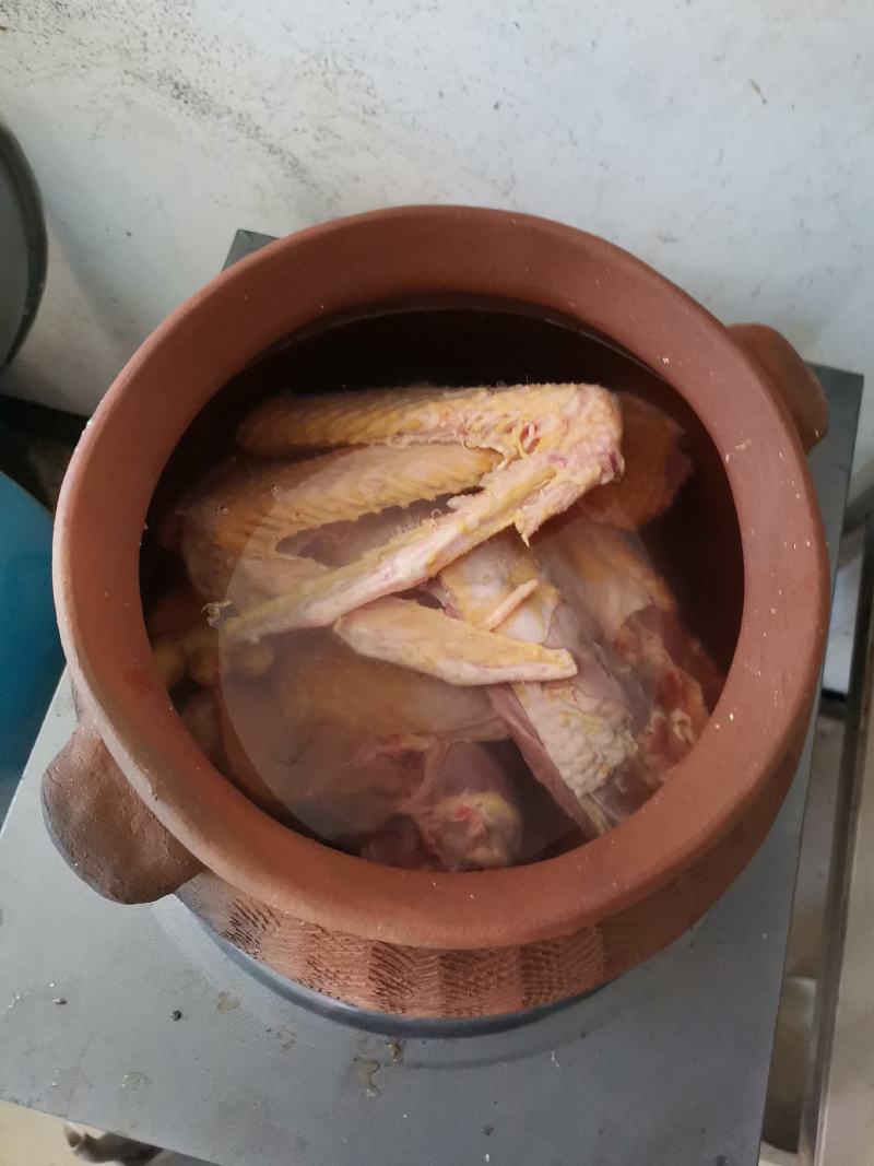 农家散养鹅，大种番鸭