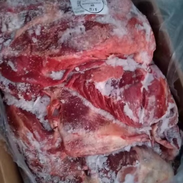 巴西驴肉手续齐全开始预售，蒙古马肉新货到货，颜色漂亮