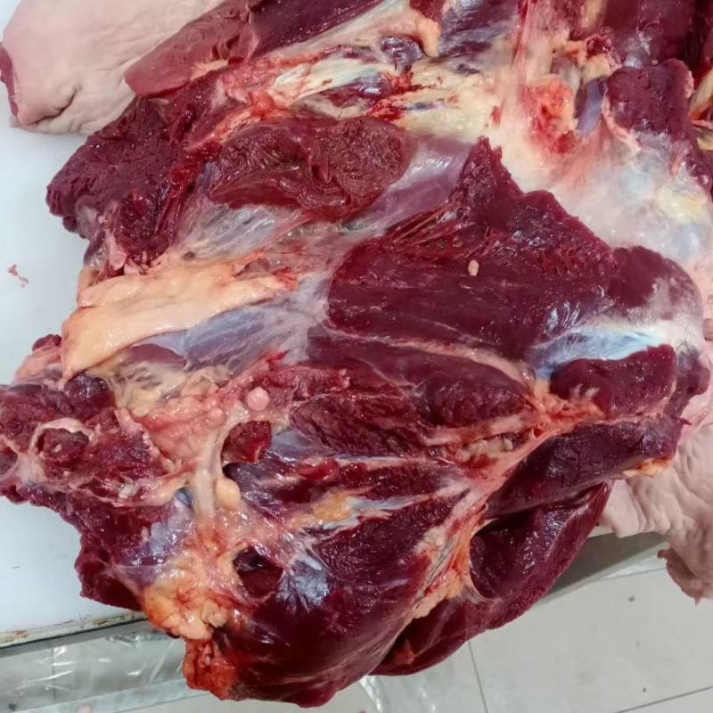 巴西驴肉手续齐全开始预售，蒙古马肉新货到货，颜色漂亮