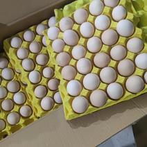 产地直供，精品粉蛋，自己的鸡场保证新鲜的鸡蛋，代收塑料框